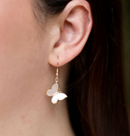 Natural Shell Butterfly Earrings